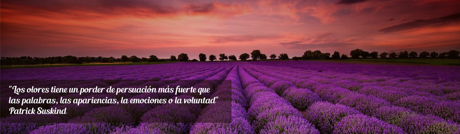 Banner Aromalab